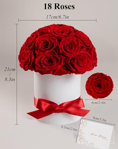 Hover Flower 18-Piece Red Dome Preserved Roses - Real 2-Year Lasting Bouquet in Gift Box
