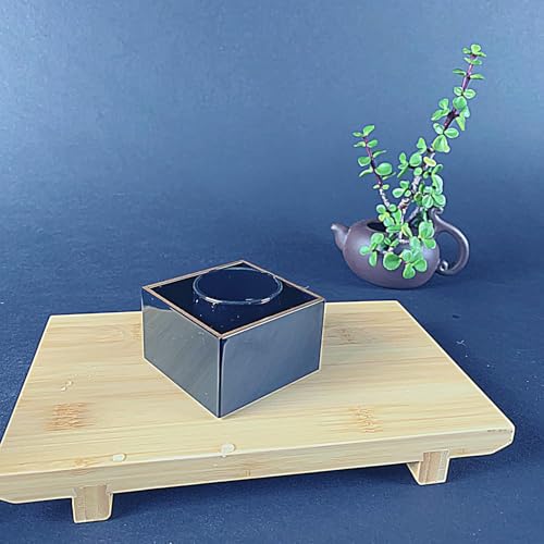 10 Pack Japanese Masu Sake Cups 3x1.875in Black Plastic with Gold Rim