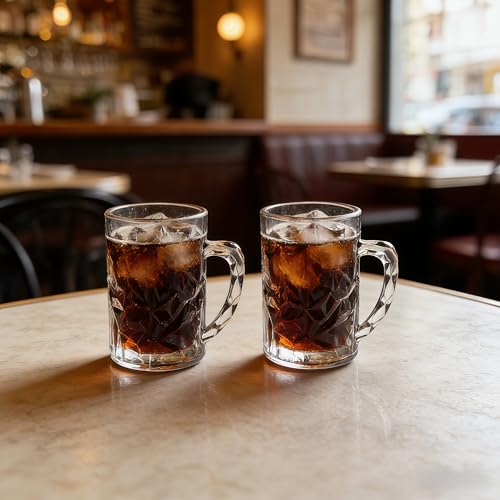 19oz Acrylic Beer Mugs with Handle - Durable Plastic Stein Set of 2