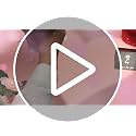 Galaxy Rose in Glass Dome with LED Lights - Eternal Flower Gift for Her