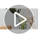 100-Pack Natural Rattan Reed Diffuser Replacement Sticks (7 Inches x 3mm)