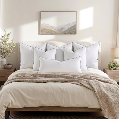 20x20 Goose Feather Down Pillow Inserts - Set of 2, Soft Cotton Cover