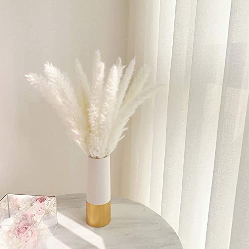 30 Pcs Natural Dried White Pampas Grass - 17 Inch Fluffy Floral Decor