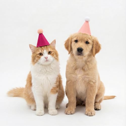 Mini Party Hats for Stuffed Animals and Pets - Colorful Felt Cone Hat