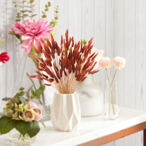 120pcs Burnt Orange Dried Bunny Tails 17-Inch Pampas Grass Boho Decor