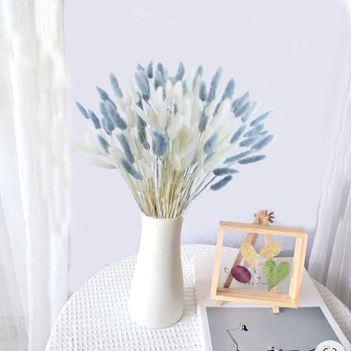 120pcs Dried Bunny Tails Flowers, 17-Inch Natural Lagurus Ovatus Stems