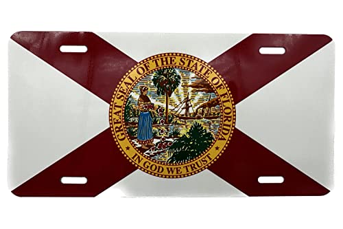 Florida Sunshine State Aluminum Vanity License Plate - 6x12 Inch Auto Decor