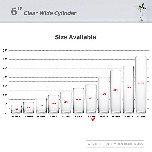 Clear Glass Cylinder Vase (6" x 16") for Wedding Centerpieces & Decor