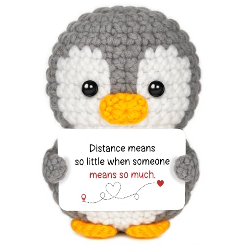 Handmade Crochet Penguin Gift for Long Distance Relationship Couples