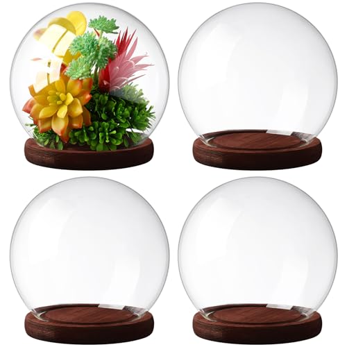 4-Piece Glass Display Dome Set with Wood Base, 5.9-Inch Clear Globe Case