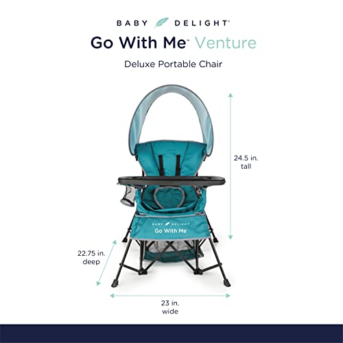 Portable Baby & Toddler Chair with Sun Canopy & Removable Tray - Teal