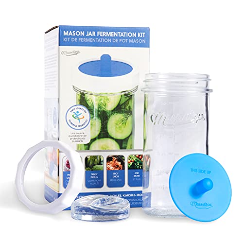 Vegetable Fermentation Jar Starter Set with Airlock Lid and Weight