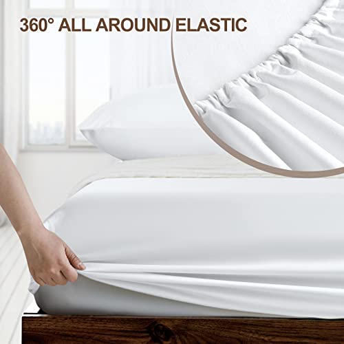 Twin Fitted Sheet 2-Pack - Ultra Soft Brushed Microfiber Deep Pocket Sheets