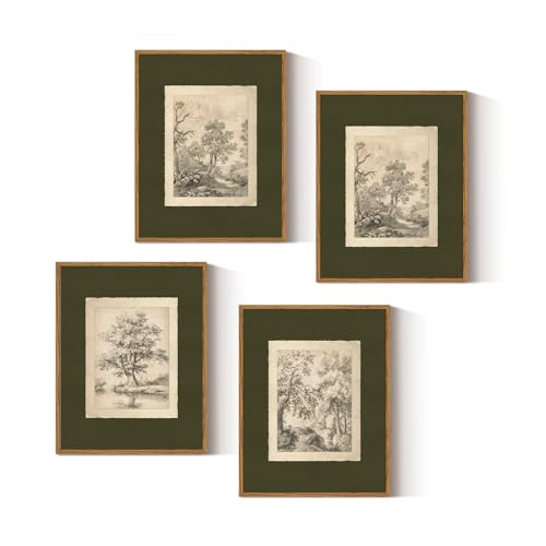 4-Piece Vintage Tree Sketch Wall Art Set, Framed Sage Green Nature Prints