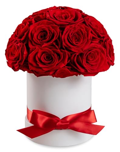 Hover Flower 18-Piece Red Dome Preserved Roses - Real 2-Year Lasting Bouquet in Gift Box