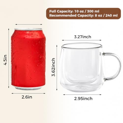 Set of 2 Double Wall Glass Coffee Mugs 10 oz with Handle - RDLBBS