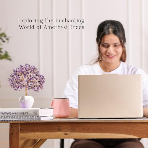 Amethyst Chakra Money Tree with Copper Wire, Feng Shui Desk Decor – Reikved
