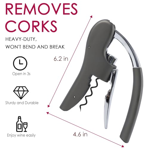 KAYCROWN Gray Stainless Steel Lever Wine Bottle Opener with Foil Cutter & Extra Spiral