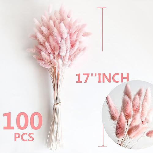 120 PCS Pink Dried Pampas Grass Decor, 17-Inch Natural Floral Bouquet