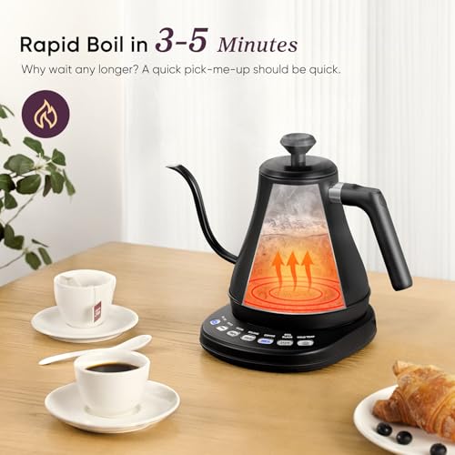 Electric Gooseneck Kettle with Temperature Control, 0.8L Stainless Steel