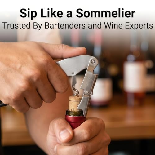 Premium Stainless Steel Double-Hinged Corkscrew Wine Opener - Black