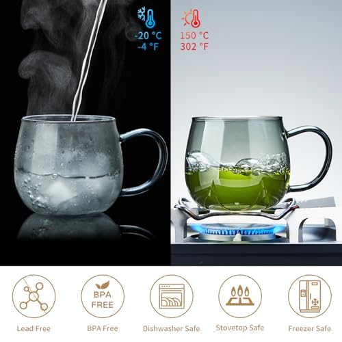 DOPUDO 17 oz Glass Teacup with Infuser and Lid, Borosilicate Tea Mug 500 ml