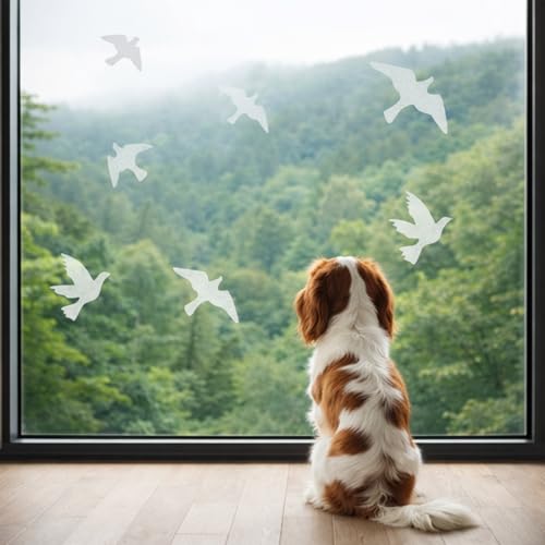 Anti-Collision Bird Stickers for Glass Windows and Doors