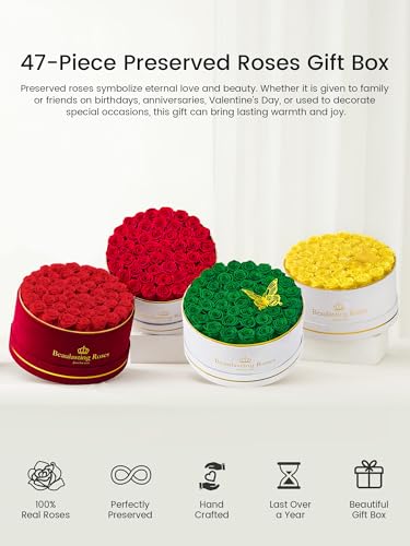 47 Preserved Red Roses in Luxury Velvet Box - Long Lasting Eternal Flowers