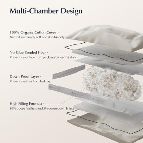 King Size Goose Feather and Down Pillows Set of 2 - Firm Gusseted Design, Organic Cotton Cover