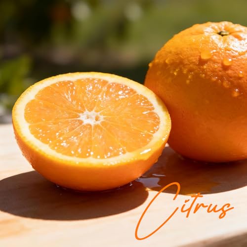 Blossom Citrus Room Spray 4 fl oz – Long-Lasting Air Freshener