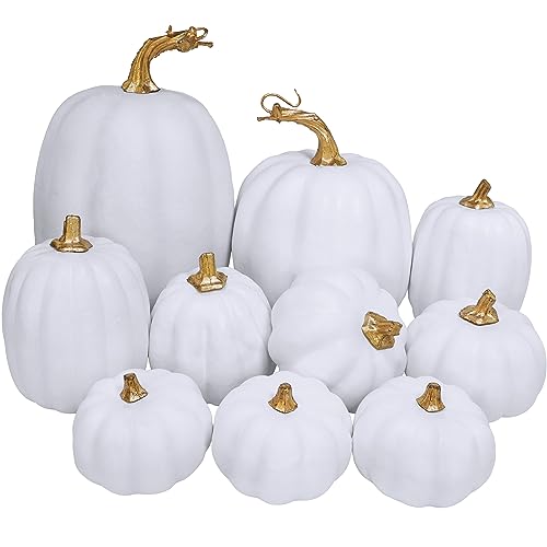 10 Pcs Assorted Artificial White Foam Pumpkins for Fall Home Decor