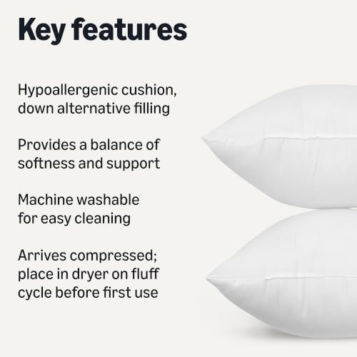 Amazon Basics 18x18" Square Throw Pillow Inserts, Down Alternative (2-Pack)