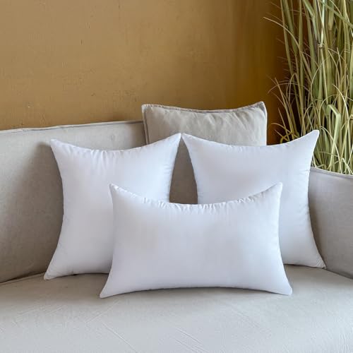 16x16 Outdoor Pillow Inserts - Waterproof Square Throw Pillows, Set of 2