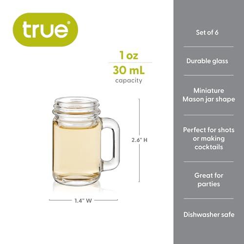 TRUE Mason Jar Shot Glasses Set of 6 - Reusable Mini Handle Shot Cups, 1 oz, Rustic Farmhouse Style