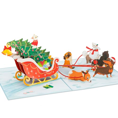 Dog Sledding Christmas Pop Up Card - 5x7 incl. envelope, POPWOW, 3D Snow Scene