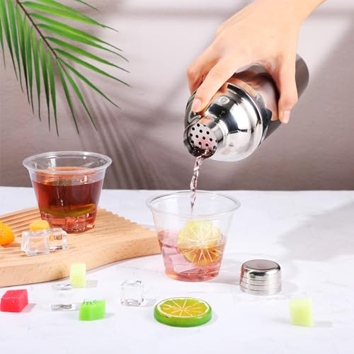 Silver 6-Piece Stainless Steel Cocktail Shaker Set 18.6 oz for Home & Bar