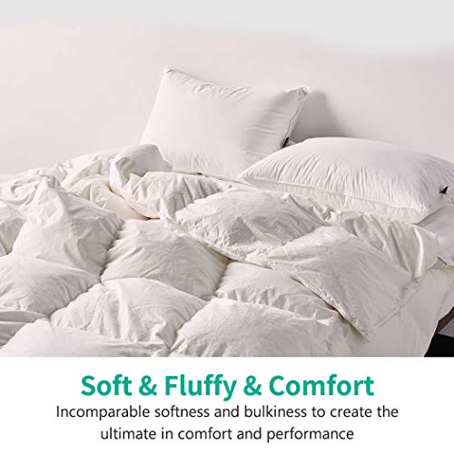 Oversized King Down Feather Comforter - Organic Cotton, 120x98