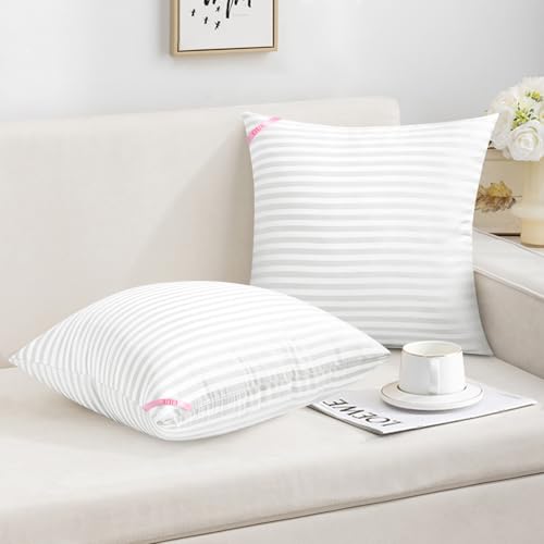 EIUE 20x20 Throw Pillow Inserts (2-Pack) - Soft Polyester Cushion Forms