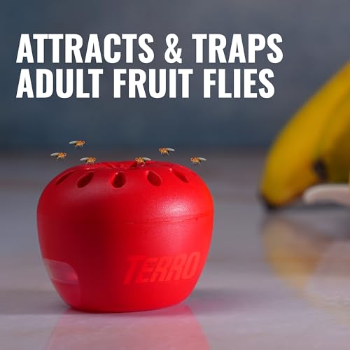 TERRO Fruit Fly Trap 4-Pack with 180-Day Lure Supply - Indoor Pest Control