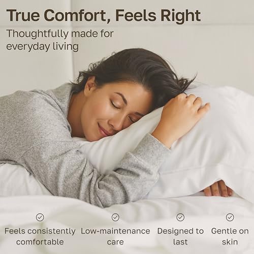 California Design Den 600 Thread Count Queen Sheet Set - 100% Cotton Sateen