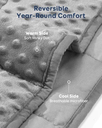 15lbs Weighted Blanket for Adults, 60x80 Queen Size Reversible Minky Dot