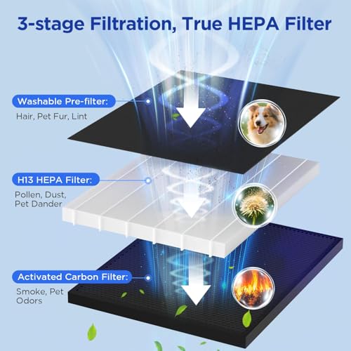 True HEPA Air Purifier for Large Rooms with Sleep Mode and Air Quality Monitor