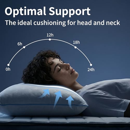 Queen Size Pillows Set of 2 - Down Alternative Bed Pillows for All Sleepers