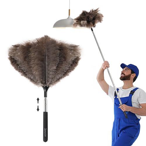 Extendable Ostrich Feather Duster with 40-Inch Stainless Steel Pole