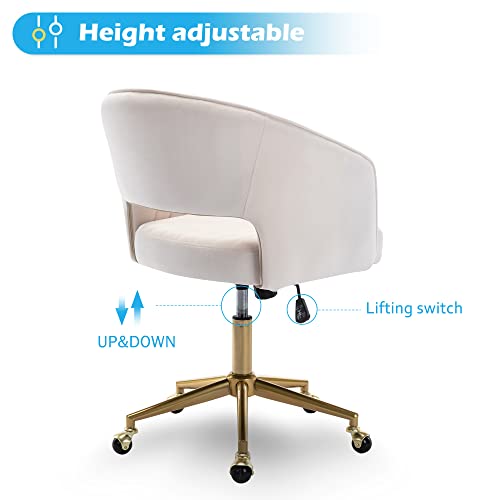 Cream Velvet Vanity Chair with Gold Base, Adjustable Swivel Desk Chair