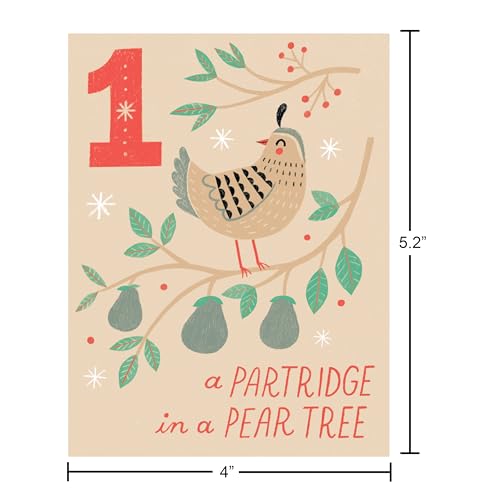 American Greetings 12 Days of Christmas Countdown Mini Note Cards with Envelopes & Seals (12 Days of Xmas 12ct) - For Kids