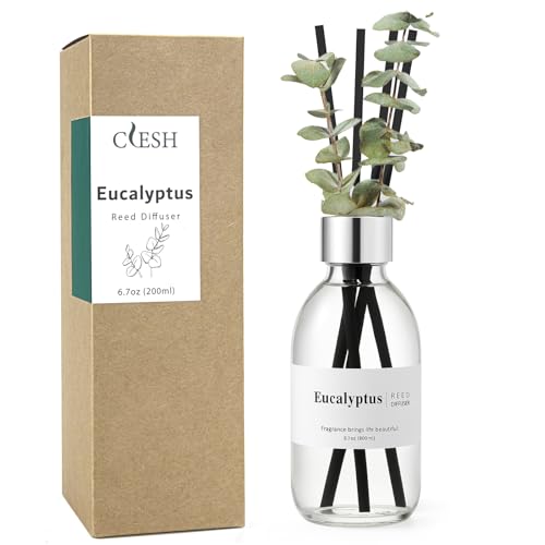 Eucalyptus Reed Diffuser Set with Reeds - 6.7 oz Long-Lasting Home Fragrance