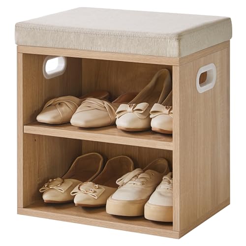 Small Shoe Storage Bench with Padded Cushion, 2-Tier Entryway Shoe Rack