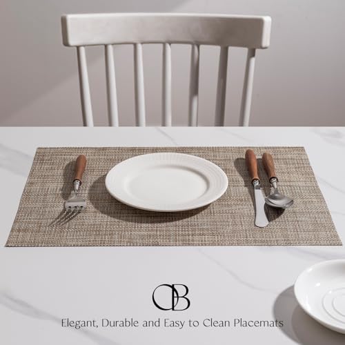 Woven Vinyl Placemats Set of 4 - Easy Clean Washable Dining Table Mats