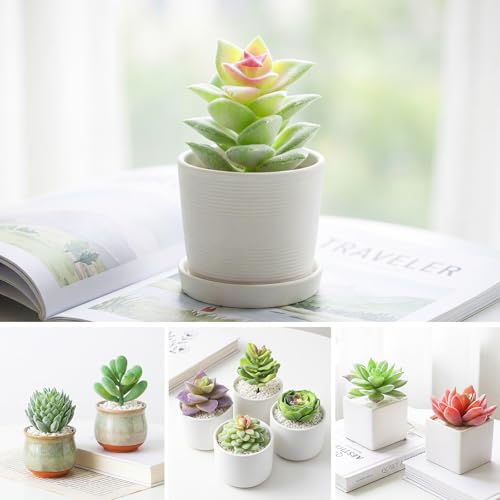12 Pcs Mini Artificial Succulents, Flocked Faux Succulent Plants for Decor
